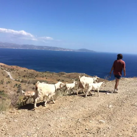 Sea Breeze Ecological Agia Galini (Crete)