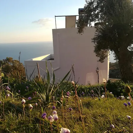 Sea Breeze Ecological